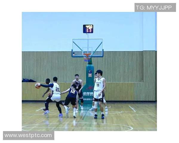 上海篮球队总决赛表现分析：意识与战术的完美结合与不足之处