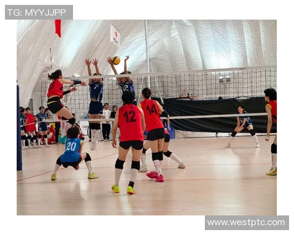 排球力量排行榜揭晓北京排球队荣登榜首展现强大实力