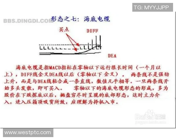 从零基础到飞盘高手:全面解析比赛技巧与实战经验分享 从零基础到飞盘高手:全面解析比赛技巧与实战经验分享