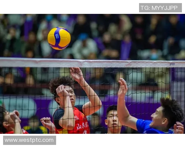 南京排球队技术争议引发热议球迷与专家各抒己见探讨战术与表现