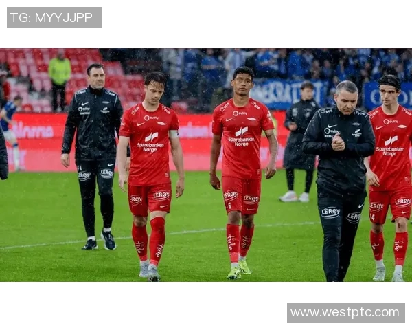 权威发布揭晓全球足球战术实力榜单各队表现一览无余