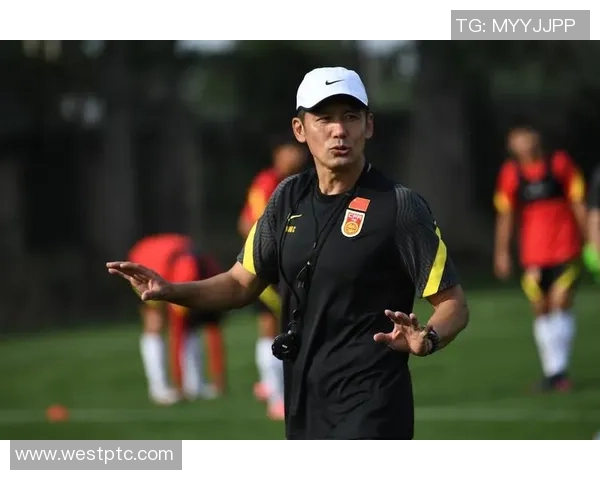 杨晨在足球场上的精彩瞬间与职业生涯回顾