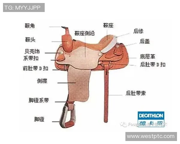 足球塑钉的选择与使用技巧解析助你提升场上表现与竞技水平 足球塑钉的选择与使用技巧解析助你提升场上表现与竞技水平