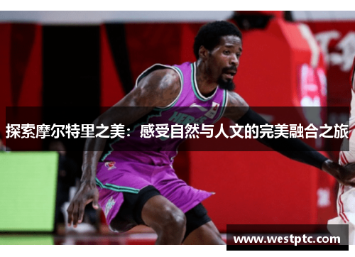 探索摩尔特里之美：感受自然与人文的完美融合之旅