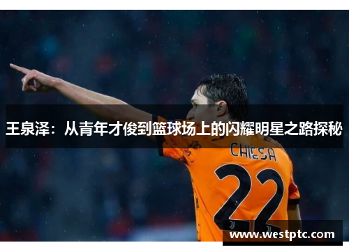 王泉泽：从青年才俊到篮球场上的闪耀明星之路探秘