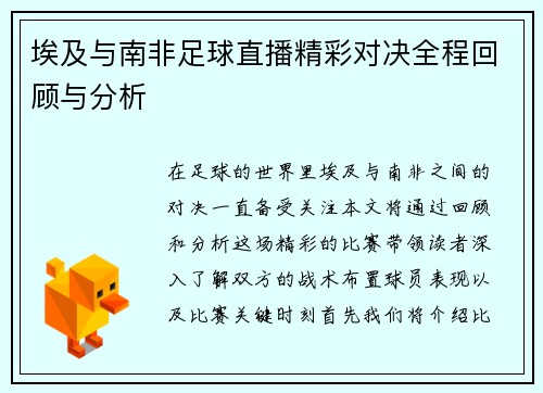 埃及与南非足球直播精彩对决全程回顾与分析