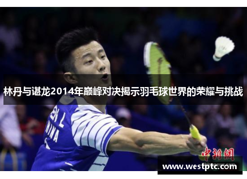 林丹与谌龙2014年巅峰对决揭示羽毛球世界的荣耀与挑战