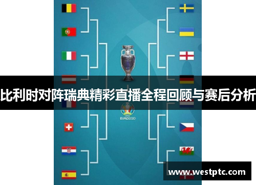 比利时对阵瑞典精彩直播全程回顾与赛后分析
